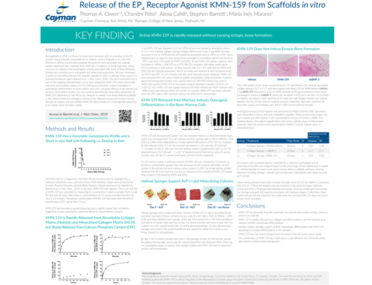 <p>​Release of the EP<sub>4</sub> Receptor Agonist KMN-159 from Scaffolds <em>in vitro</em><br></p>